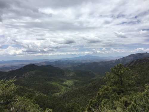 A panoramic view of lush green mountains under a cloudy sky, showcasing a vast landscape stretching into the distance.