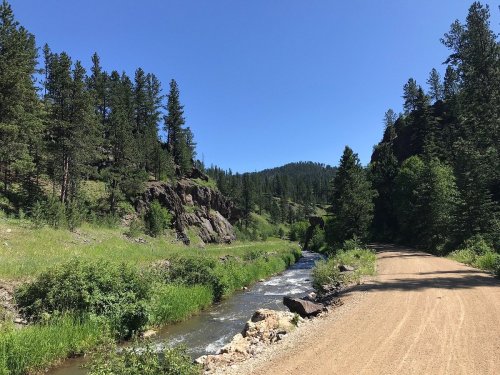 A dirt road alongside a flowing river, surrounded by lush greenery and tall trees under a clear blue sky.