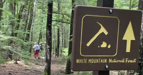 A trail sign for White Mountain National Forest with a hiker and dog walking on a wooded path in the background.