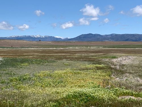 A wide, open landscape with green and brown fields, distant mountains, and a clear blue sky with a few clouds.