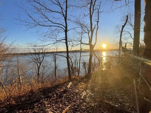 Sunset over a river, framed by bare trees and a golden glow reflecting on the water.