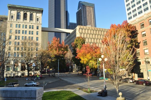 Cityscape featuring modern skyscrapers, autumn trees with colorful leaves, and a quiet street in an urban setting.