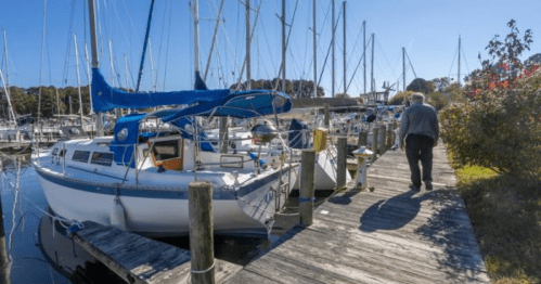 A person walks along a wooden dock beside sailboats in a marina on a sunny day.
