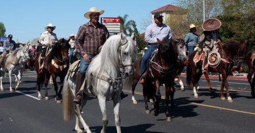 A group of cowboys on horseback parades down a street, wearing hats and traditional attire.