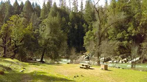 A serene riverside scene with a grassy area, picnic table, and lush trees in a forested landscape.