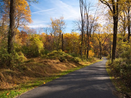 A winding path through a vibrant autumn forest with colorful leaves and a clear blue sky.