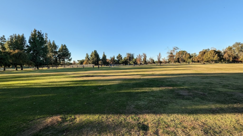 A wide view of a grassy park with trees and a clear blue sky in the background.