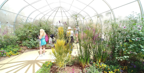 A bright greenhouse filled with diverse plants and flowers, with visitors exploring the lush environment.