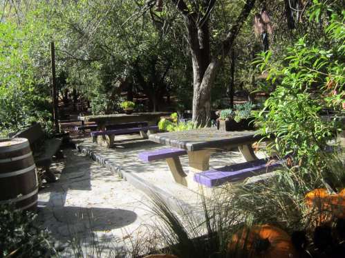 A serene outdoor space with picnic tables, surrounded by greenery and pumpkins, under a tree.