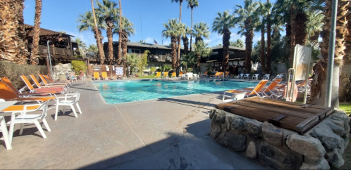 A sunny pool area surrounded by palm trees, with lounge chairs and a building in the background.