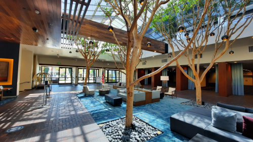 Bright lobby with large trees, modern seating, and natural light streaming through a glass ceiling.