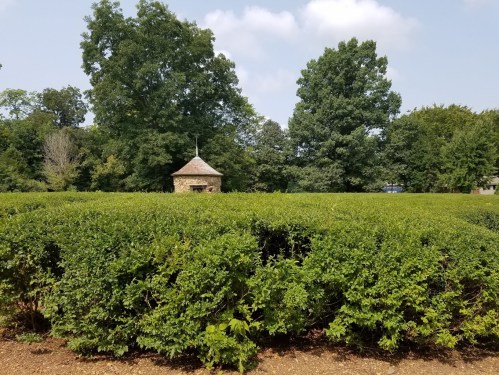 A lush green hedge surrounds a small stone structure, with trees and a blue sky in the background.