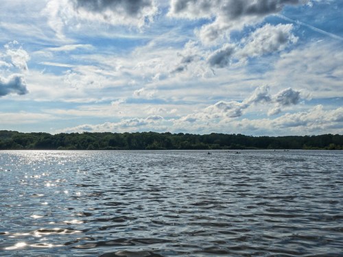 A serene lake under a cloudy sky, with gentle ripples reflecting sunlight and trees lining the distant shore.