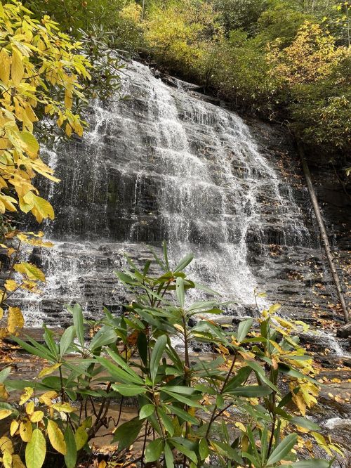 A cascading waterfall surrounded by vibrant autumn foliage and lush greenery.