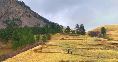 Three hikers walk along a winding trail through golden grass and green trees, with mountains in the background.