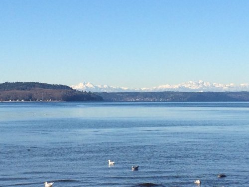 A serene lake view with mountains in the background and a clear blue sky, featuring a few birds on the water.