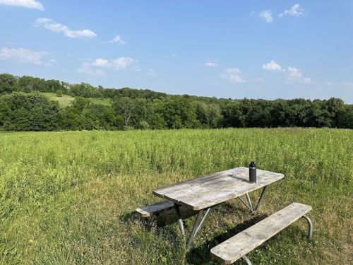 A rustic picnic table in a grassy field, with a water bottle on it and trees in the background under a clear blue sky.
