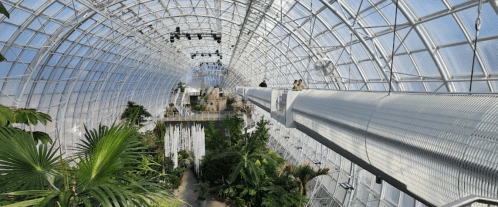 A spacious greenhouse with a glass ceiling, featuring lush plants and visitors on a walkway above.