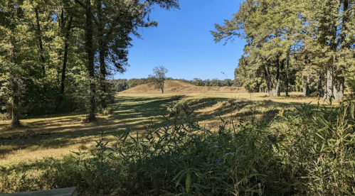 A serene landscape featuring rolling hills, trees, and a clear blue sky.