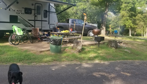 A campsite with a trailer, picnic table, grill, and a black dog in the foreground, surrounded by trees.