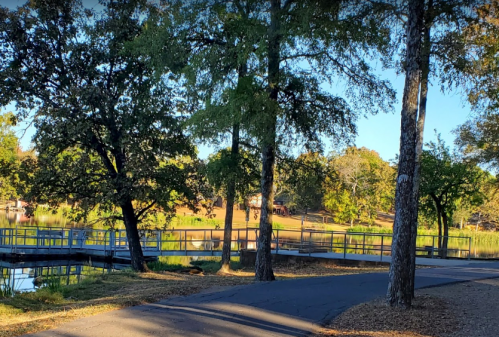 A serene park scene featuring a path, trees, and a calm pond with a wooden bridge in the background.