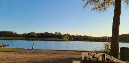 A serene lakeside view with clear blue water, trees, and a picnic table in the foreground under a clear sky.