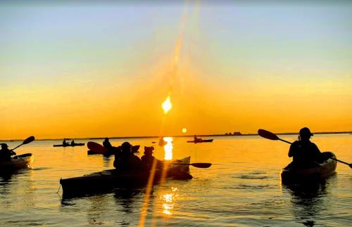 Silhouettes of kayakers on calm water at sunset, with a golden sky and sun reflecting on the surface.