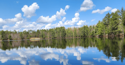 A serene lake reflecting fluffy clouds and green trees under a bright blue sky.