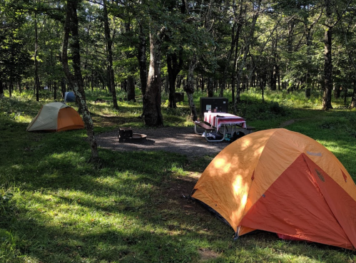 Two orange tents set up in a grassy campsite surrounded by trees, with a picnic table and fire pit nearby.
