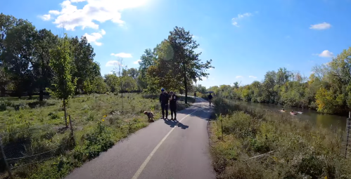 A sunny park path alongside a river, with people walking and a dog, surrounded by trees and greenery.