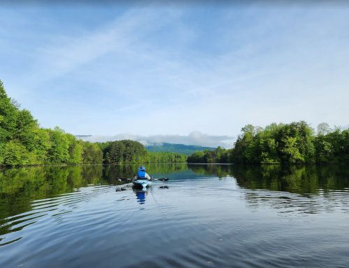 A person in a blue kayak paddles on a calm lake surrounded by lush green trees and a clear blue sky.