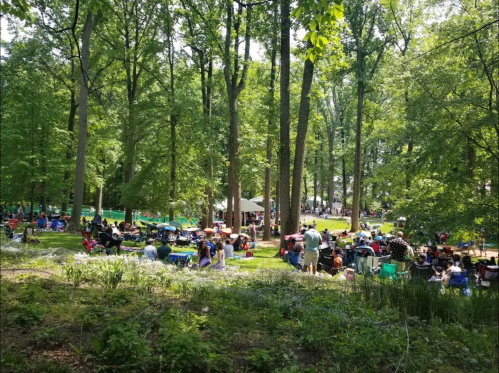 A crowded outdoor park scene with people sitting on blankets and chairs among trees, enjoying a sunny day.