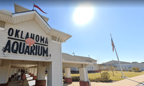 Entrance of the Oklahoma Aquarium with a clear blue sky and sun shining overhead.