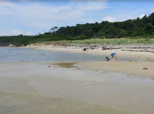 A sandy beach with gentle waves, a person playing near the water, and lush greenery in the background.