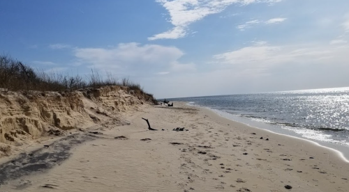 A sandy beach with gentle waves, a clear sky, and sparse vegetation along the shore.