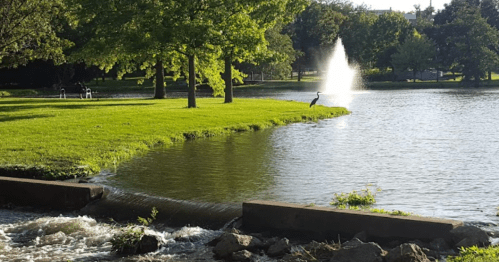 A serene park scene featuring a pond, fountain, green trees, and a small waterfall.