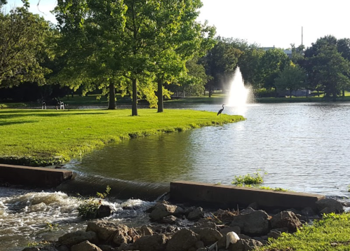 A serene park scene featuring a pond, fountain, green grass, and trees, with a heron standing near the water's edge.