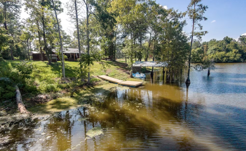 A serene lakeside view with a dock, surrounded by trees and a house in the background under a clear blue sky.