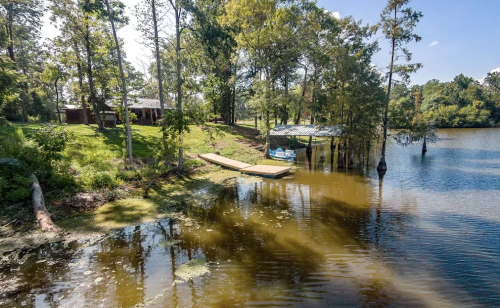 A serene lakeside view with a dock, surrounded by trees and a house in the background under a clear blue sky.