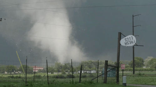 A tornado forms in a dark sky near a field, with a sign for "Fresh Eggs" leaning at an angle in the foreground.