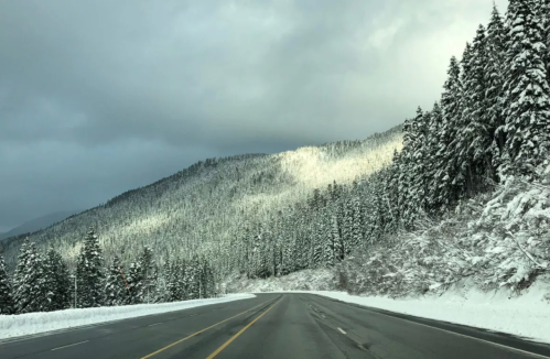 A snowy mountain landscape with evergreen trees under a cloudy sky, alongside a clear road.