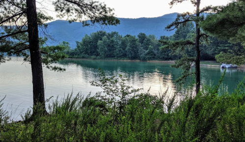 A serene lake surrounded by trees and mountains, reflecting the calm water under a clear sky.