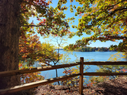 A serene lake view framed by colorful autumn leaves and a wooden fence under a clear blue sky.