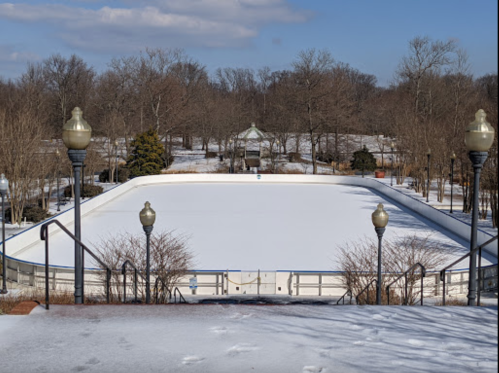 A frozen ice rink surrounded by trees and lampposts, with a clear blue sky above.