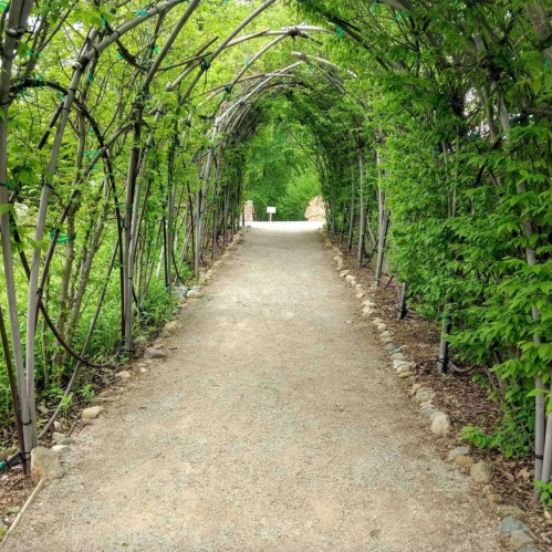 A gravel path leads through a green, leafy archway of trees and plants, creating a serene, natural tunnel.
