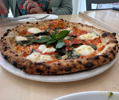 A freshly baked pizza topped with mozzarella, basil, and a rich tomato sauce on a rustic crust.