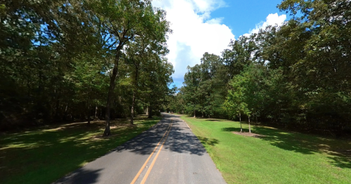 A peaceful, tree-lined road stretches into the distance under a blue sky with fluffy clouds.