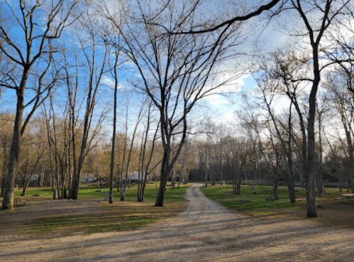A winding dirt path through a park with bare trees and patches of green grass under a partly cloudy sky.
