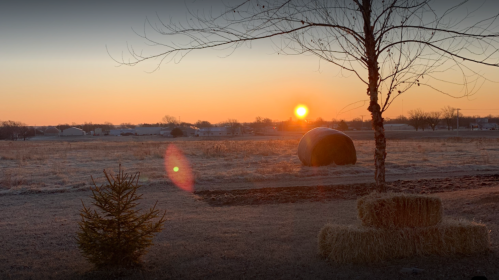 Sunrise over a frosty field with a hay bale, a small tree, and scattered straw bales in the foreground.