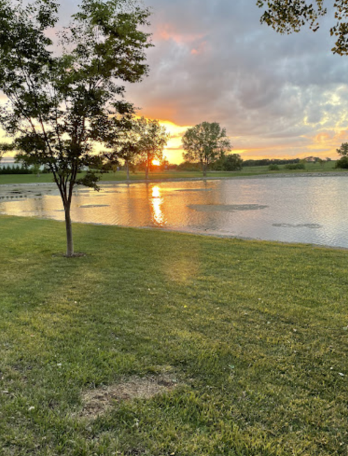 A serene sunset over a calm lake, with trees and grassy shore in the foreground.